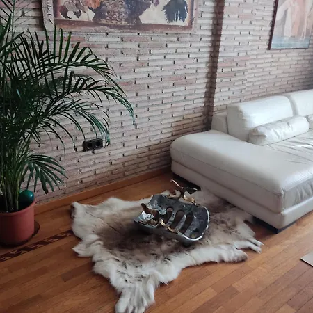 Fully-equipped Luxury Penthouse Daire